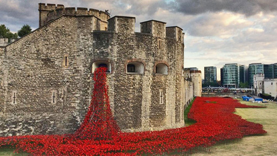 3033890-poster-p-1-tower-of-london-poppy